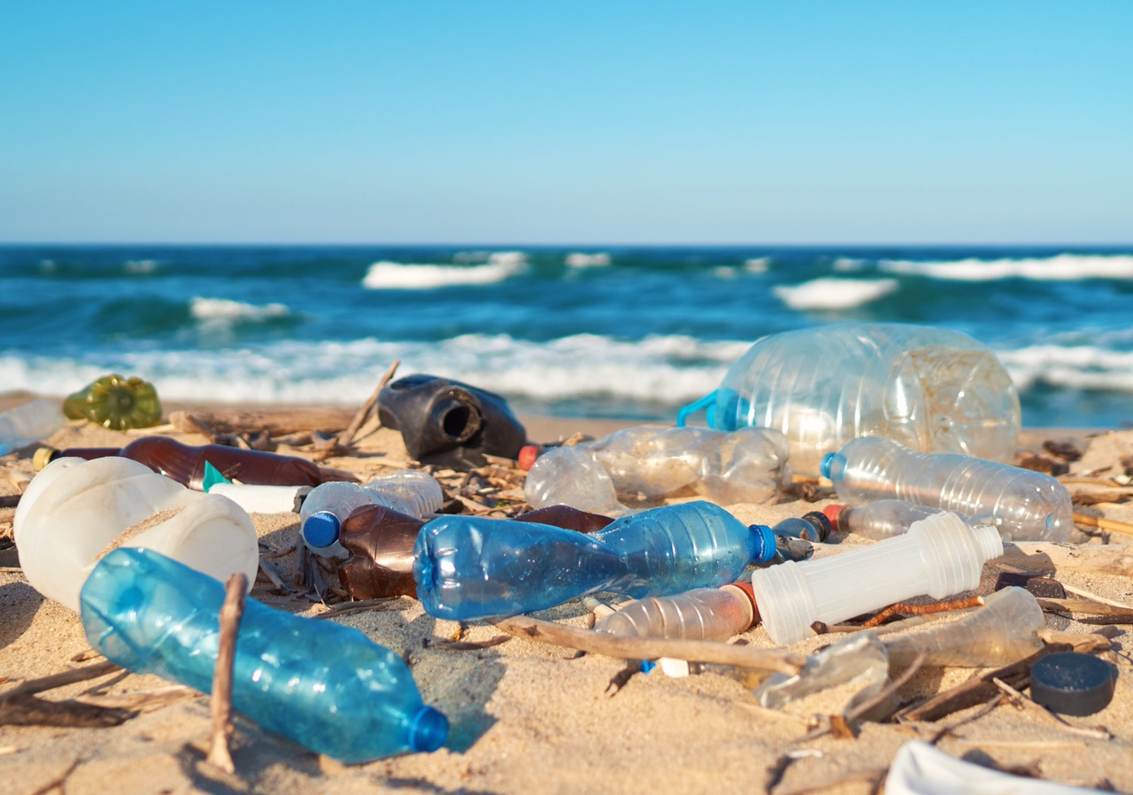 CasaWeb.Club Está Comprometida Con El Medio Ambiente. Una estrategia para combatir la contaminación plástica en los océanos, garantizando un ecosistema marino más limpio y sostenible. CasaWeb.Club Está Comprometida Con El Medio Ambiente. Una estrategia para combatir la contaminación plástica en los océanos, garantizando un ecosistema marino más limpio y sostenible.