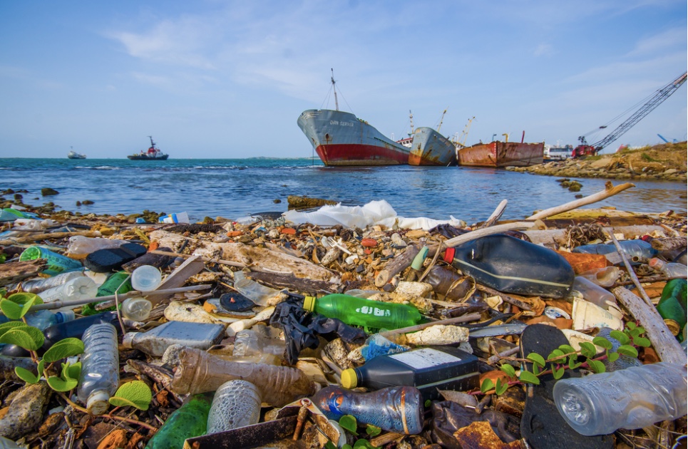 CasaWeb.Club Is Commited To The Environment. A strategy to combat plastic pollution in our oceans, ensuring a cleaner and more sustainable marine ecosystem for future generations.